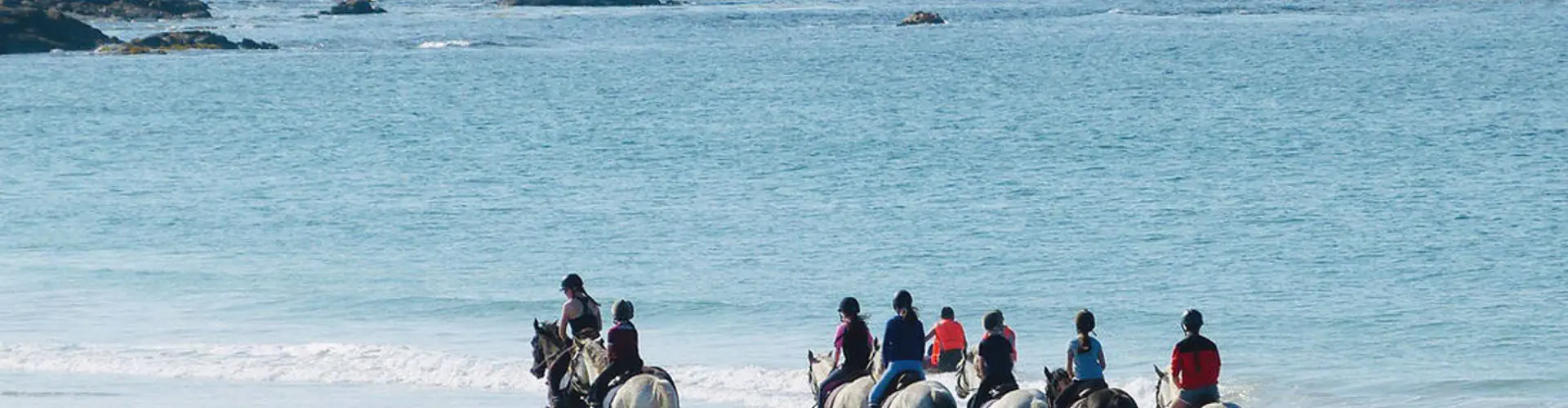 The Point Pony Trekking & Horse Riding Centre