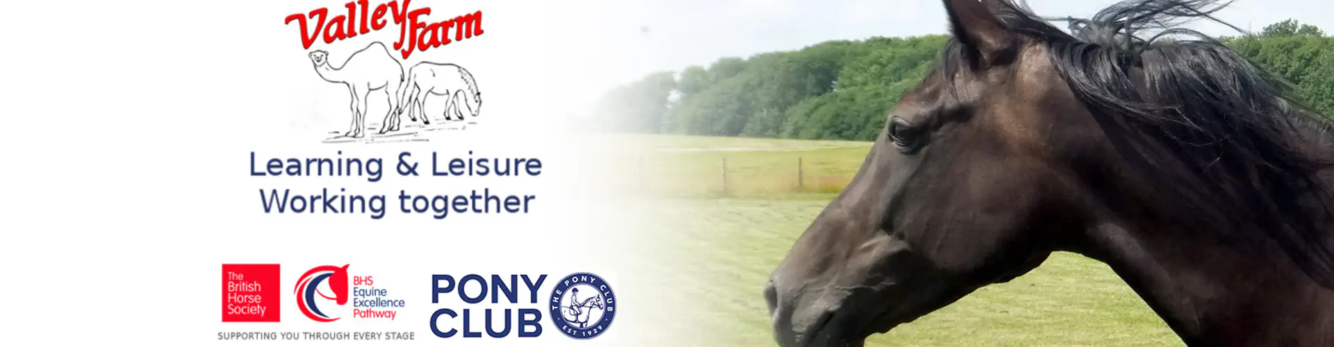 Residential Pony Camps