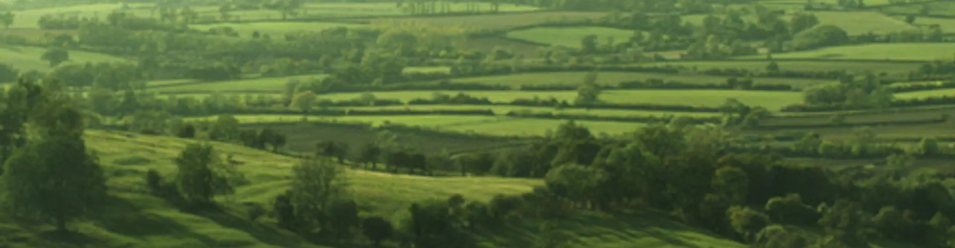 Cotswolds Riding at Jill Carenza Equestrian Ltd