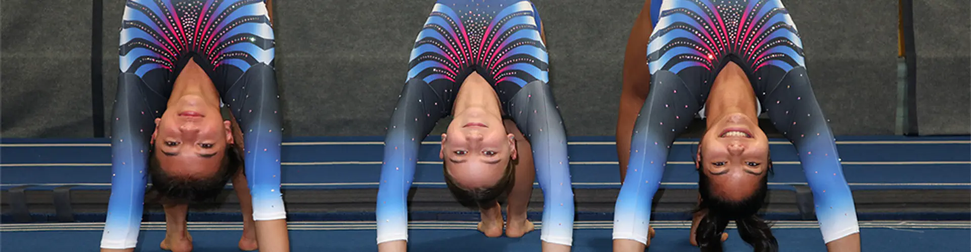 Club Aviva Gymnastics