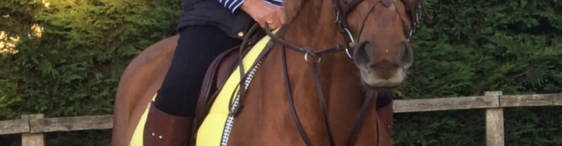 Copdock Riding Centre