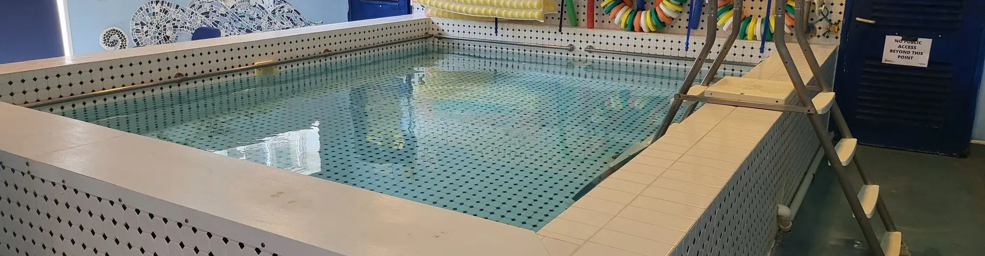 Seahorse Hydrotherapy Pool