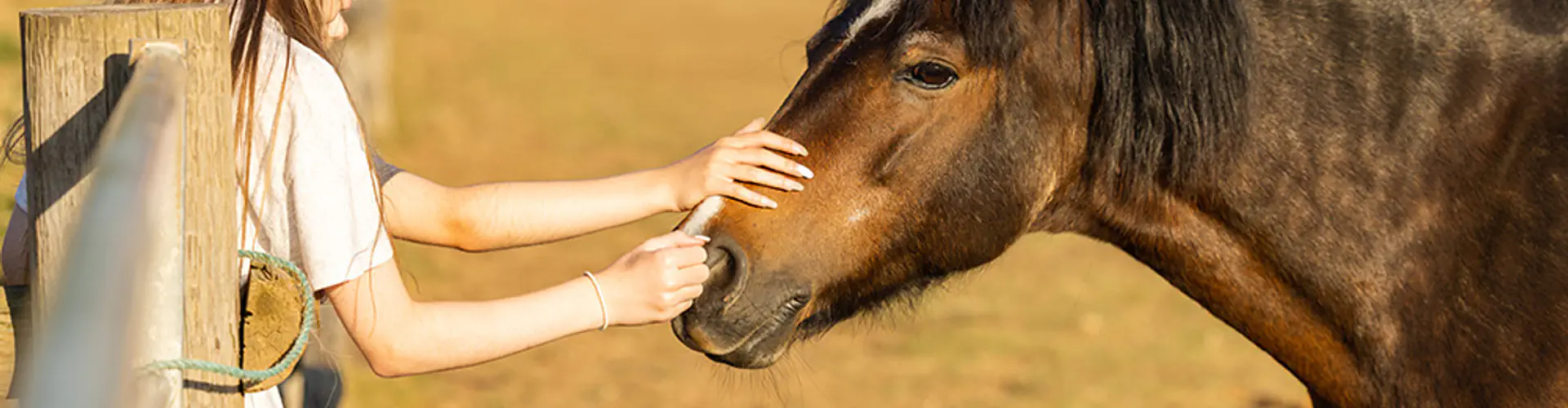 Oaklands Riding School