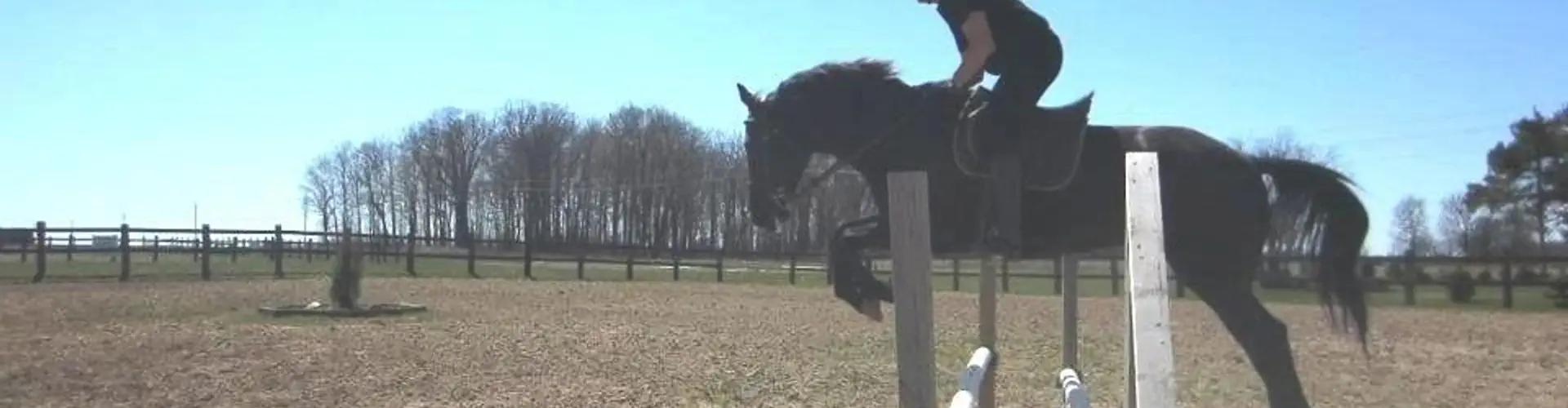 Hse Stables