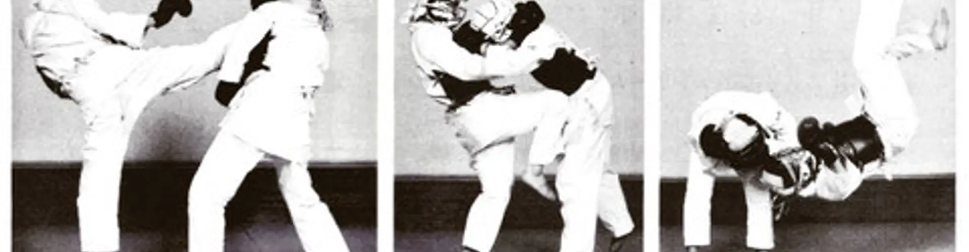 NIPPON KEMPO MARSEILLE