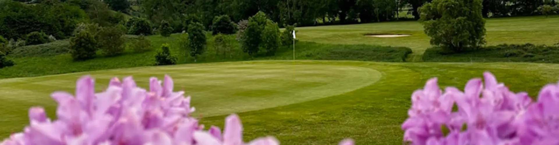 Seniors Open - Individual Stableford Competition