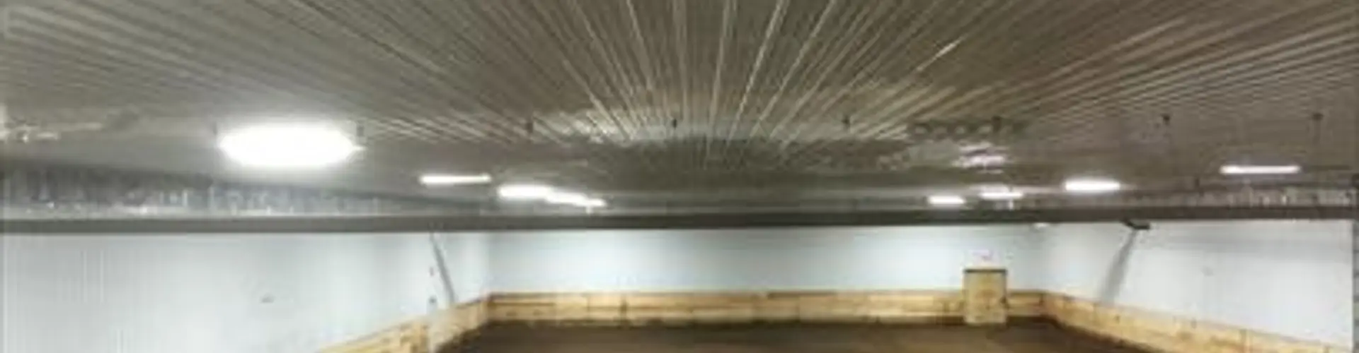 Paints-Plus Equine Center