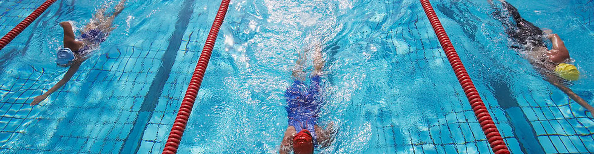 Brighton Dolphin Swimming Club
