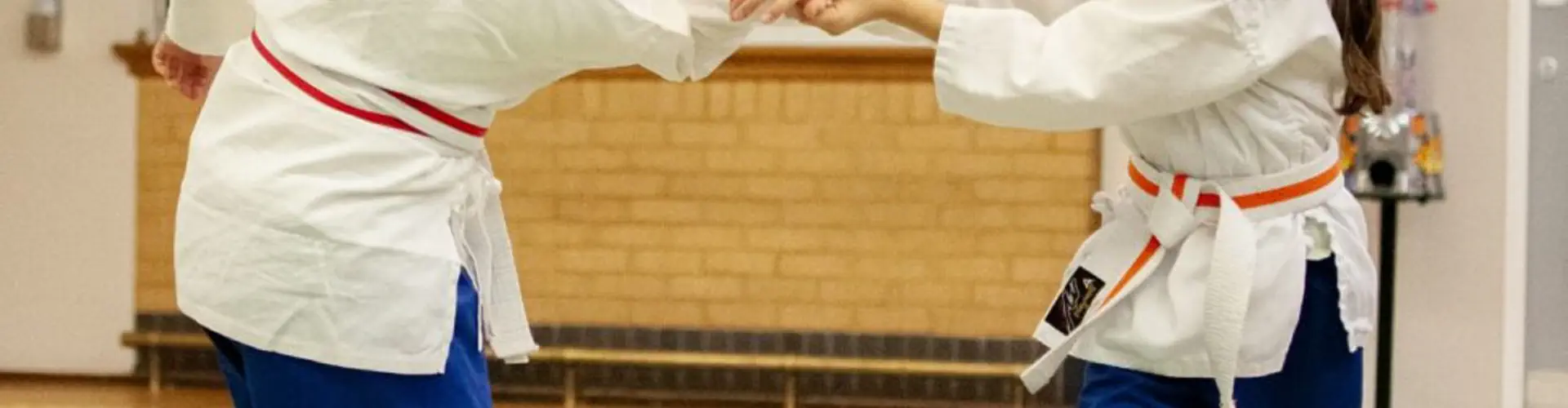 Wolverhampton Ju-Jitsu Club