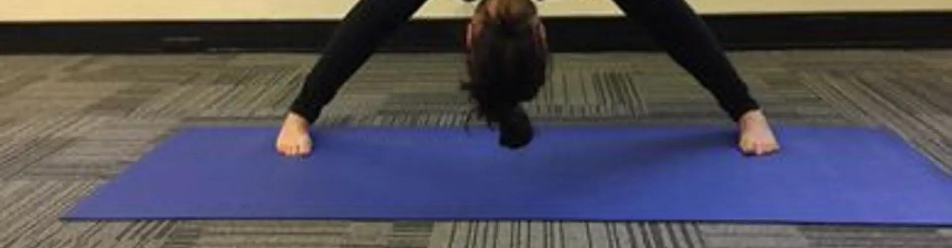 Crows Nest Yoga and Wellness Centre