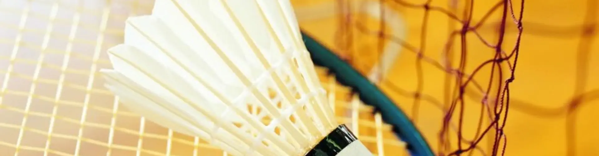Cotswold Badminton Club, Tilehurst, Reading