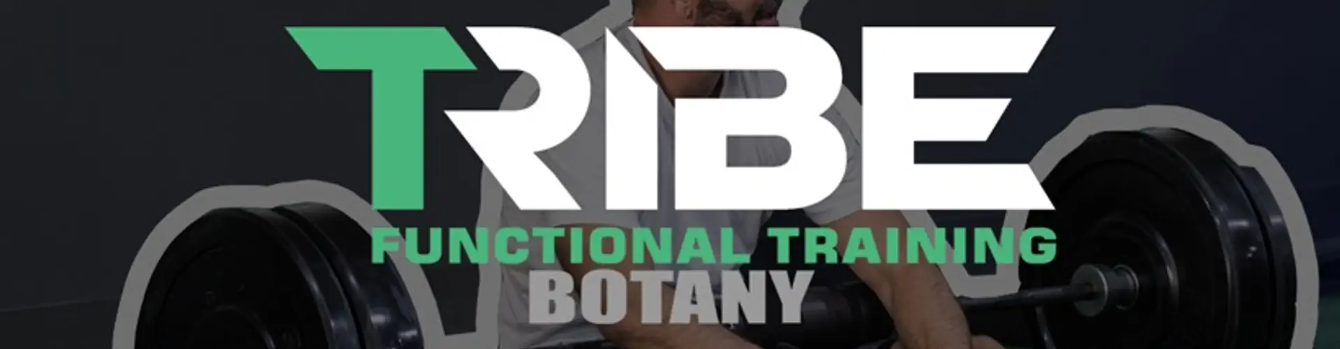 Tribe Botany