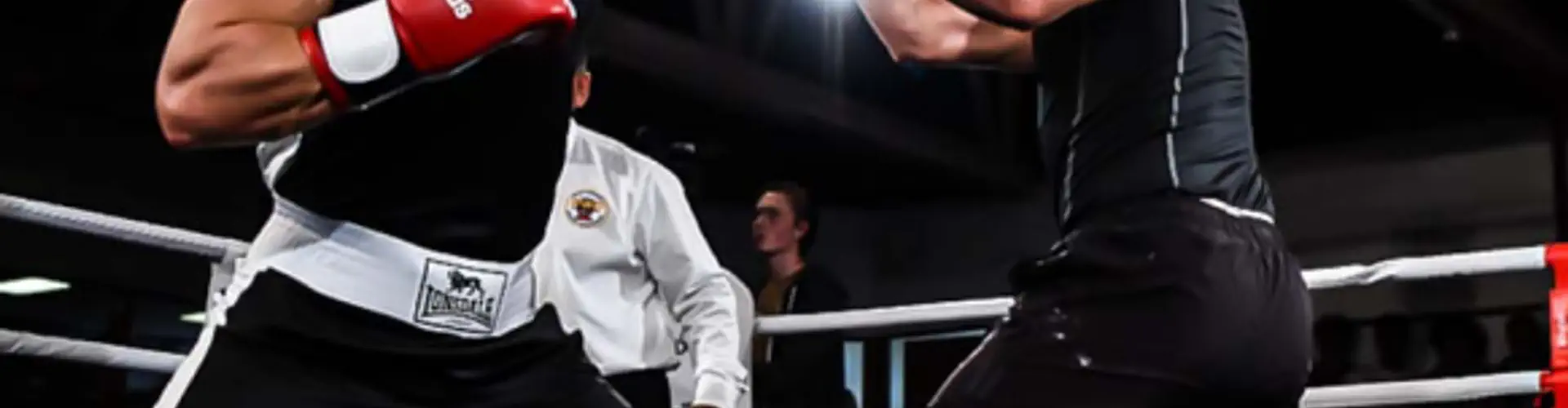 Glozier Boxing Glen Eden