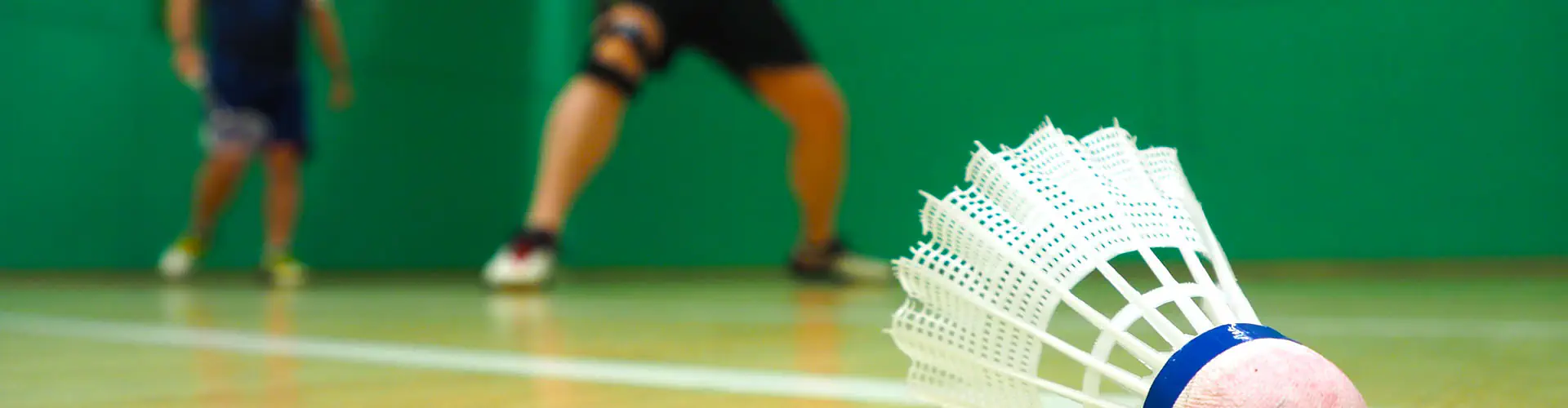 GOSLINGS LONDON BADMINTON CLUB