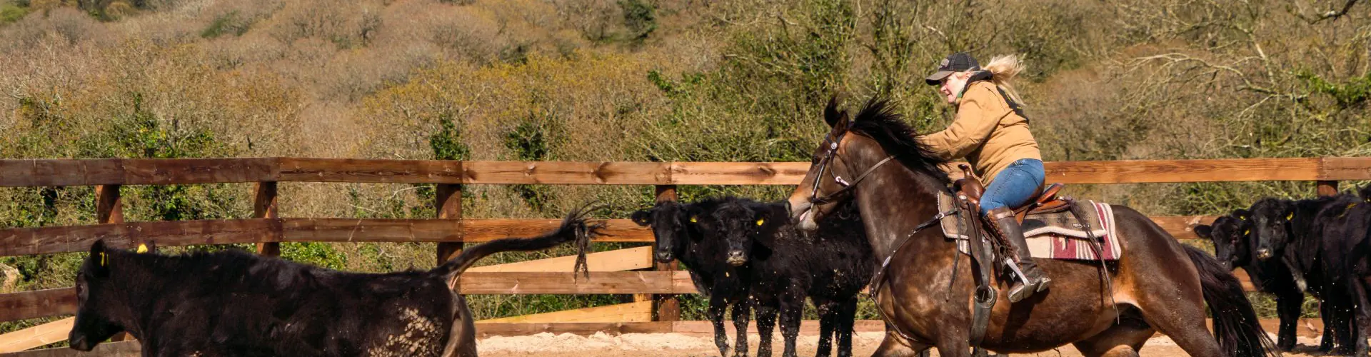 Western Experience Days