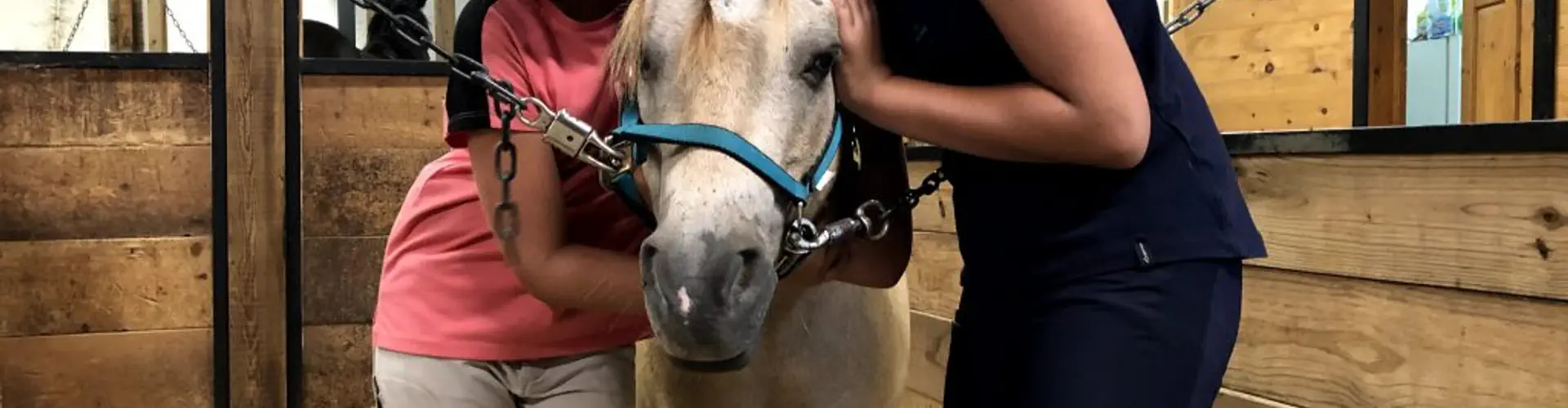 Poney-Club Blainville