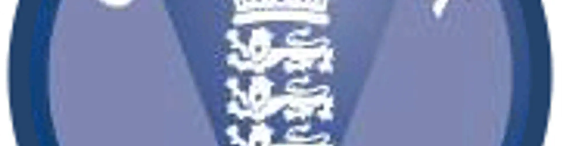 Rogerstone Welfare Cricket Club