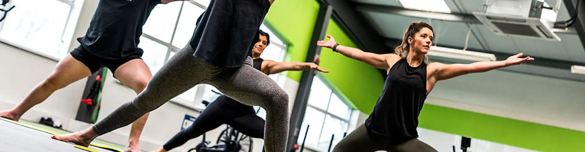 Evofit Crosshands