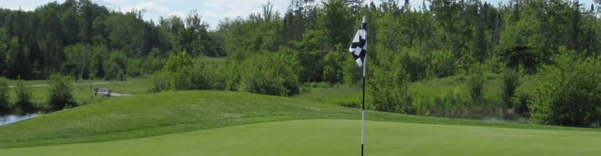 Links at Penn Hills