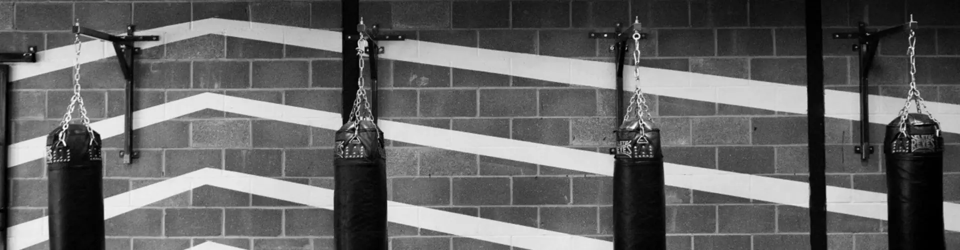 12x3 Boxing