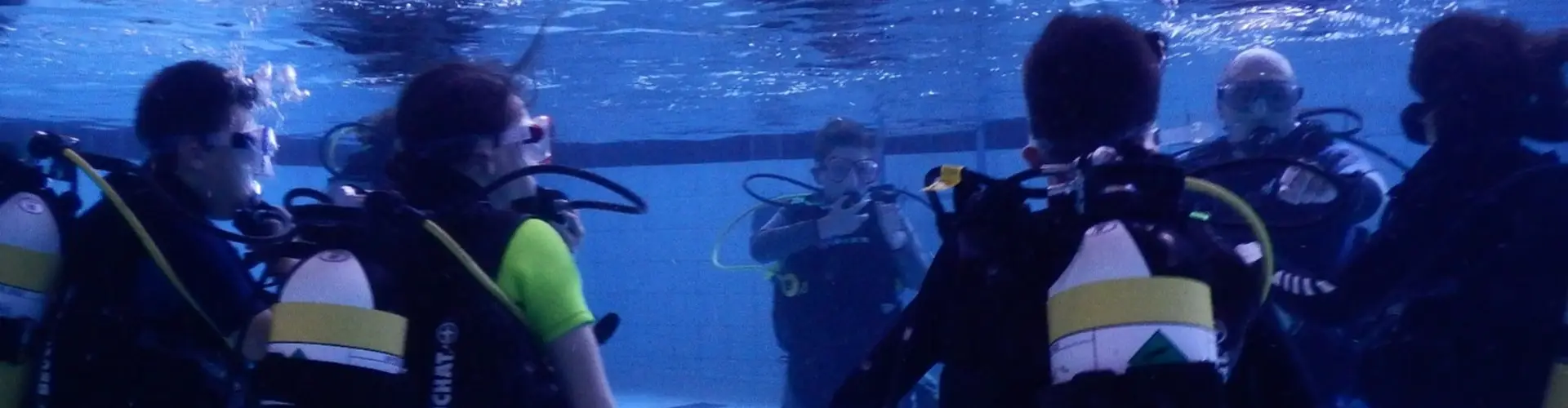 Seal Encounter Dive Trips