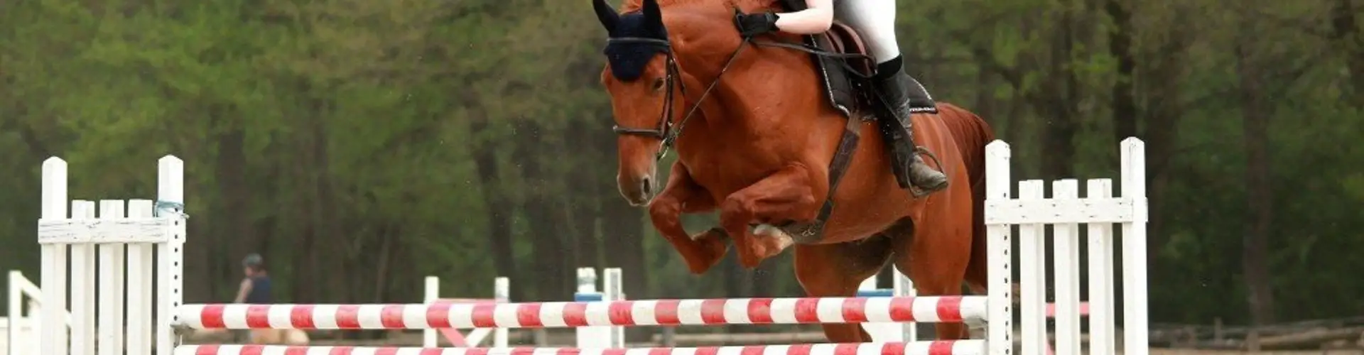 Equestrian Center Castres Borde Basse