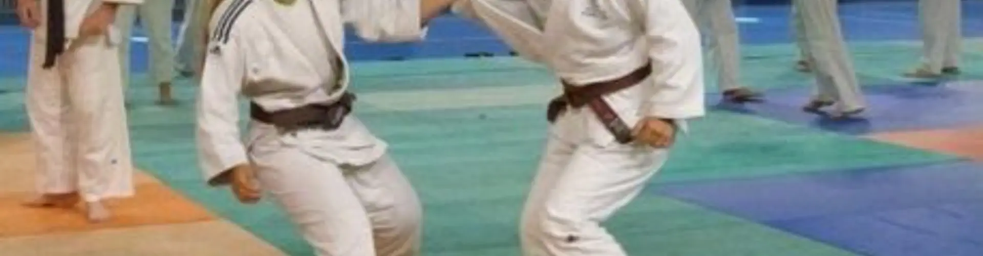 Judo Le Tauzin