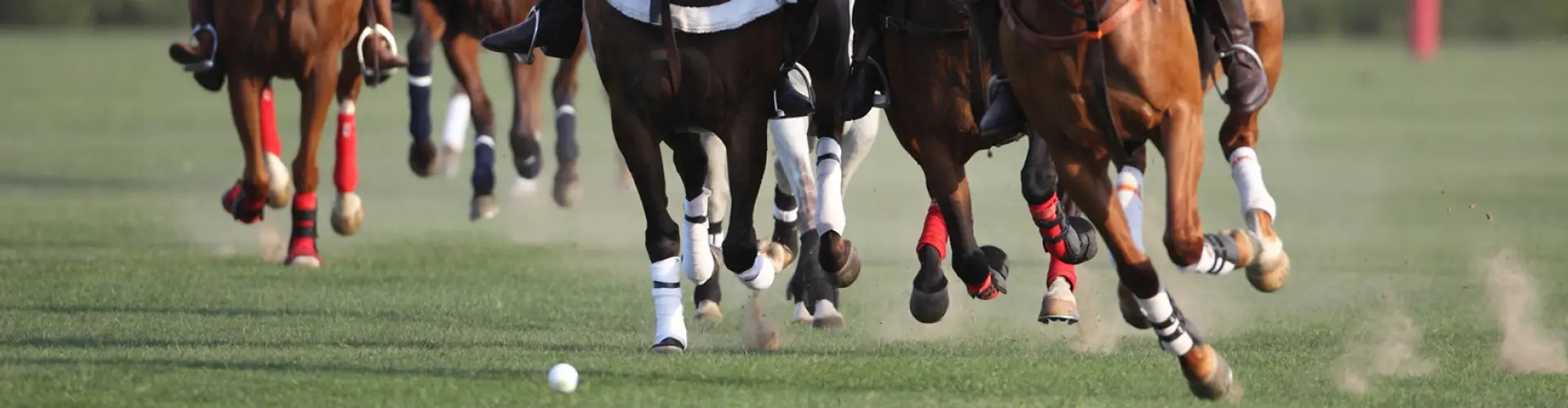 Queensland Polo Association Polo