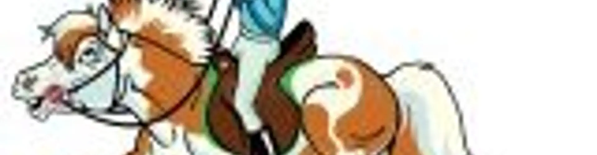 Concours Dressage Bully Malatray