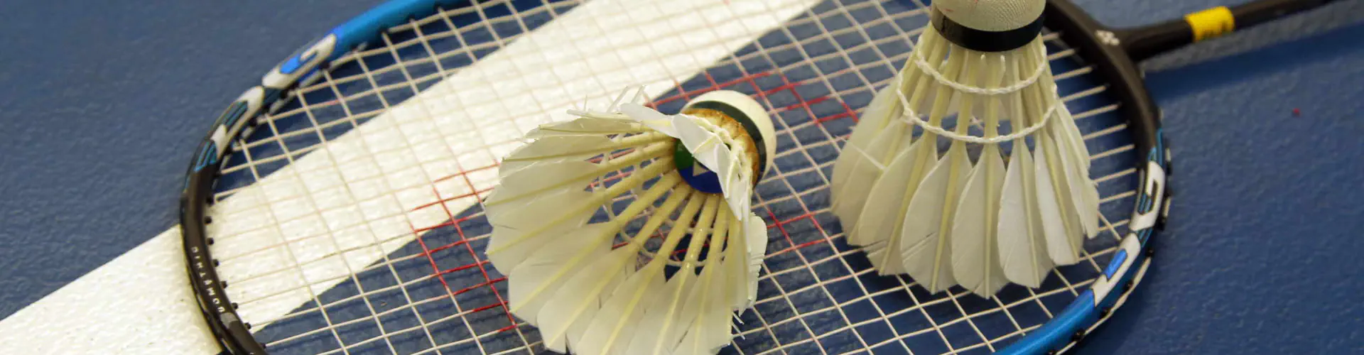 Phoenix Badminton Club