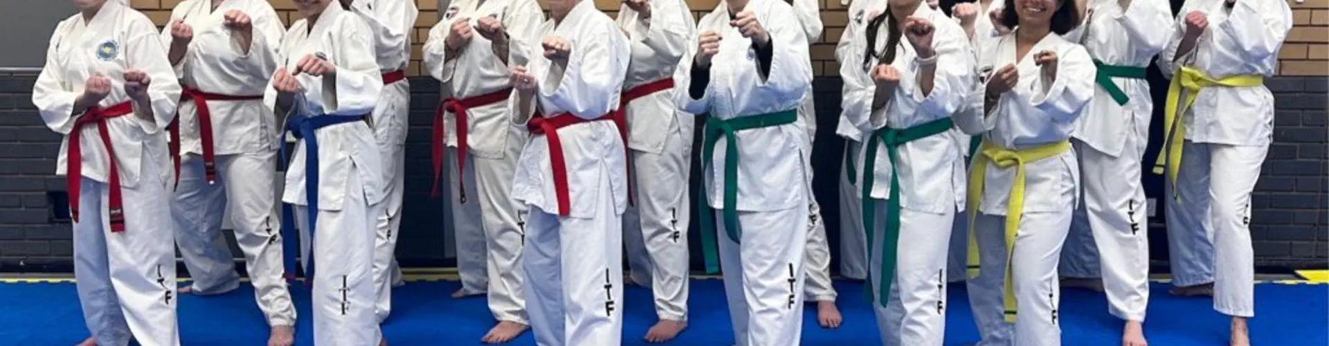 HSTS Taekwon-Do - Martial Arts - Hitchin