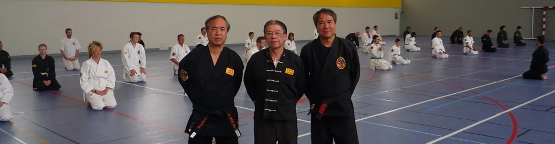 Viet Quyen Thuat Poissy