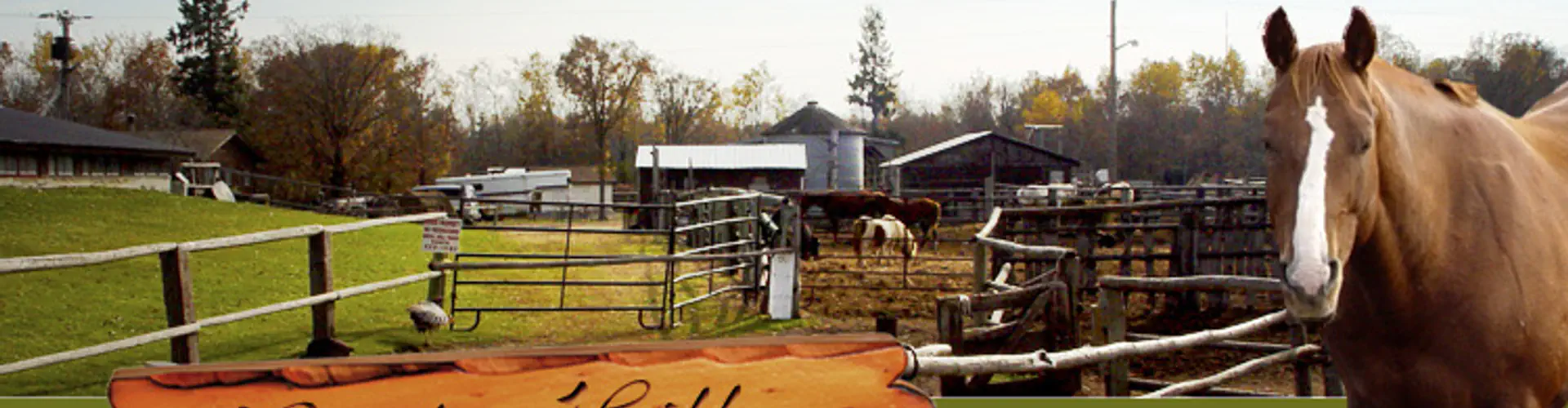 Bird's Hill Park Ranch