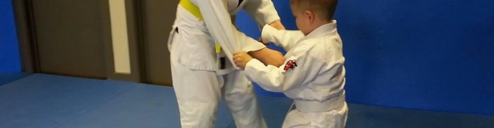 Judo Rive-Sud