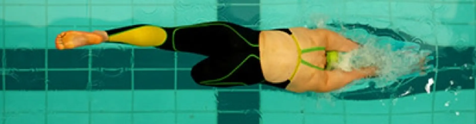SwimExpert