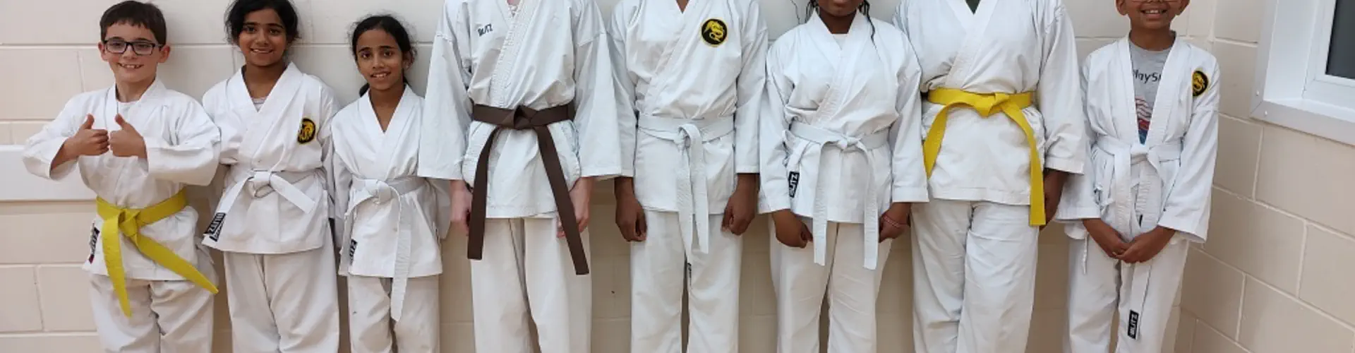 Yeovil Karate Club