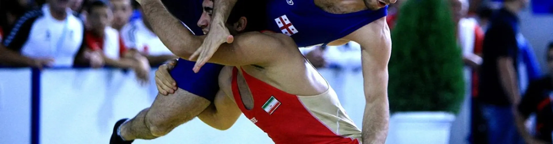 Paris Lutte Olympique