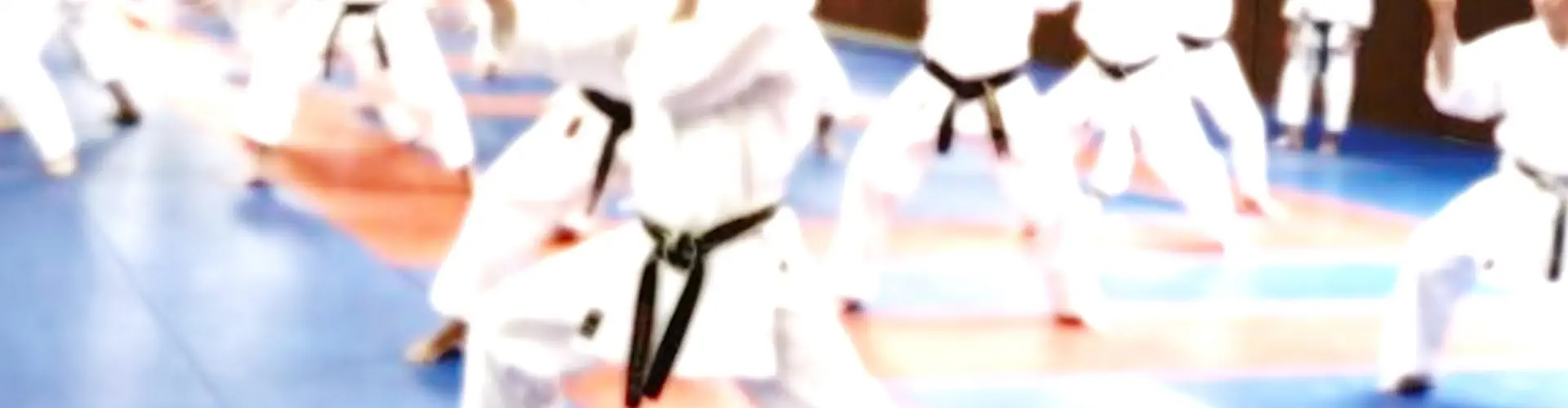 Dojo Shoto Karate Do Neuvillois