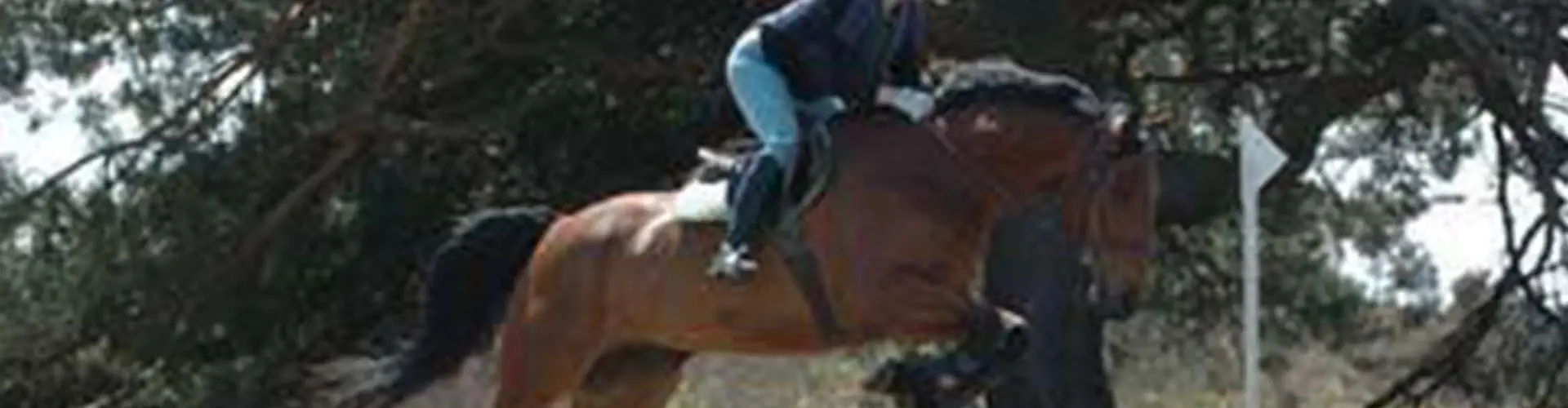 The Kiln Equestrian Centre