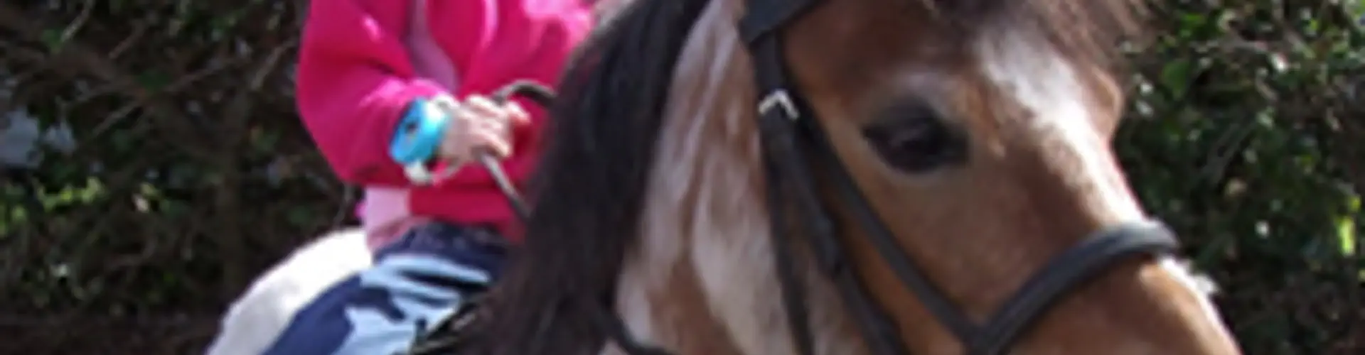 Haggerston Castle Riding Centre