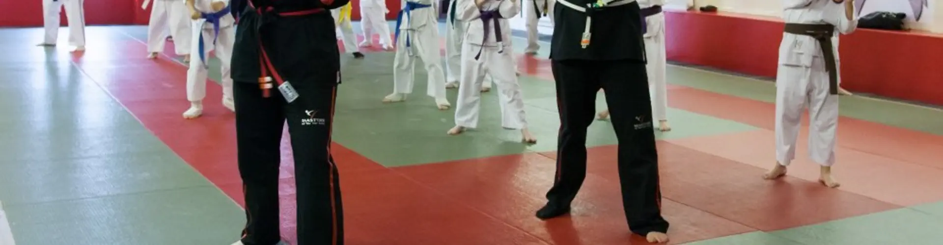 Masters of Martial Arts