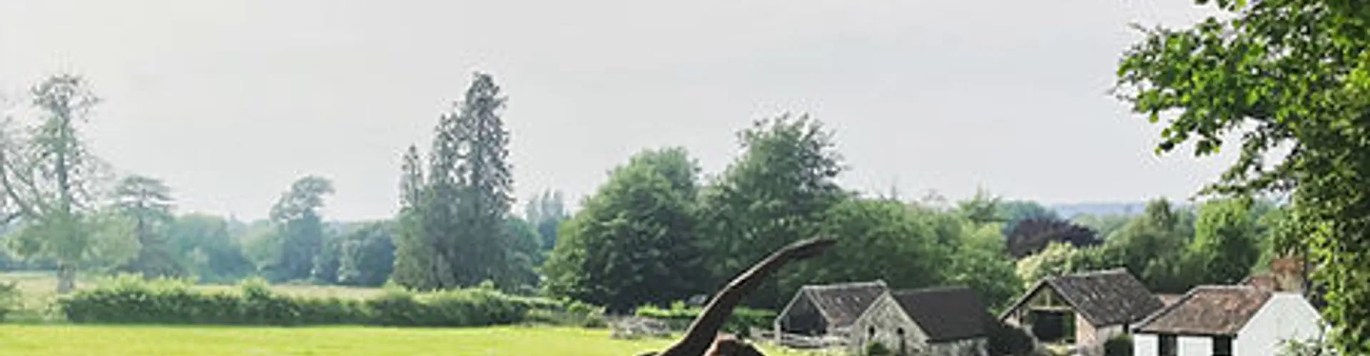 The Yoga Barn