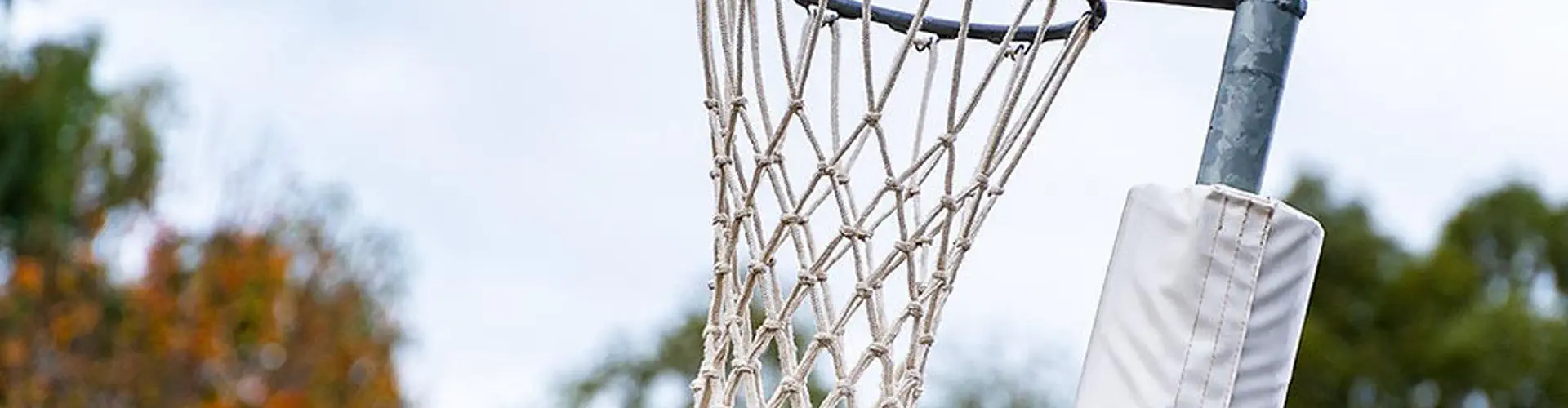 Plenty Valley Netball Association