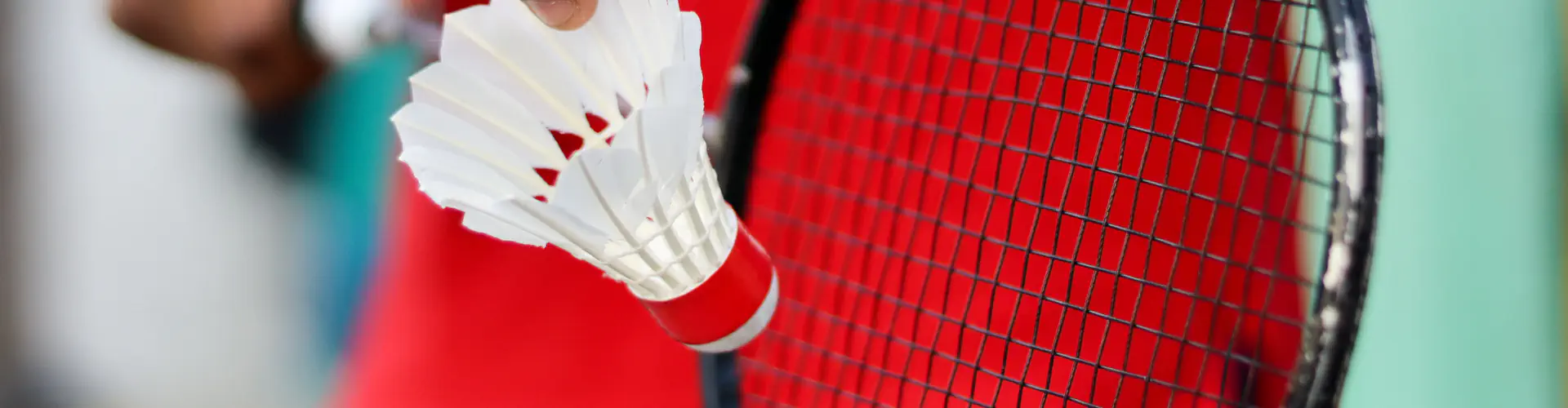 Lighthall Badminton Club