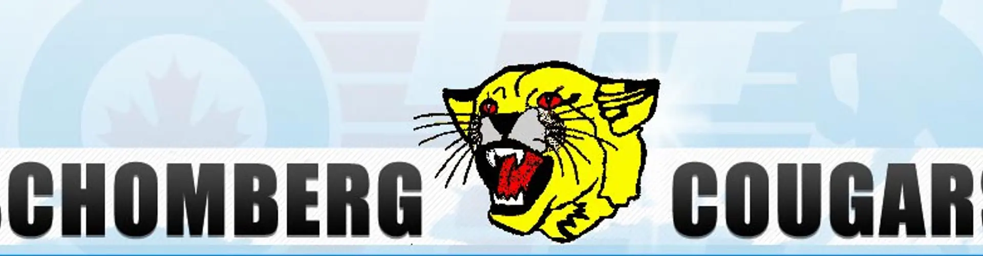 Schomberg Cougars Bingo Fundraiser