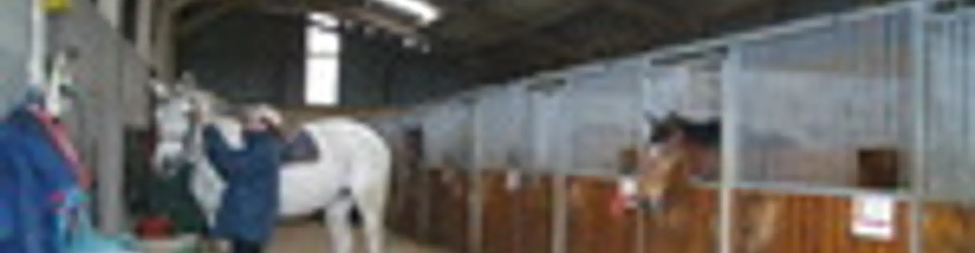 GUILERS EQUITATION