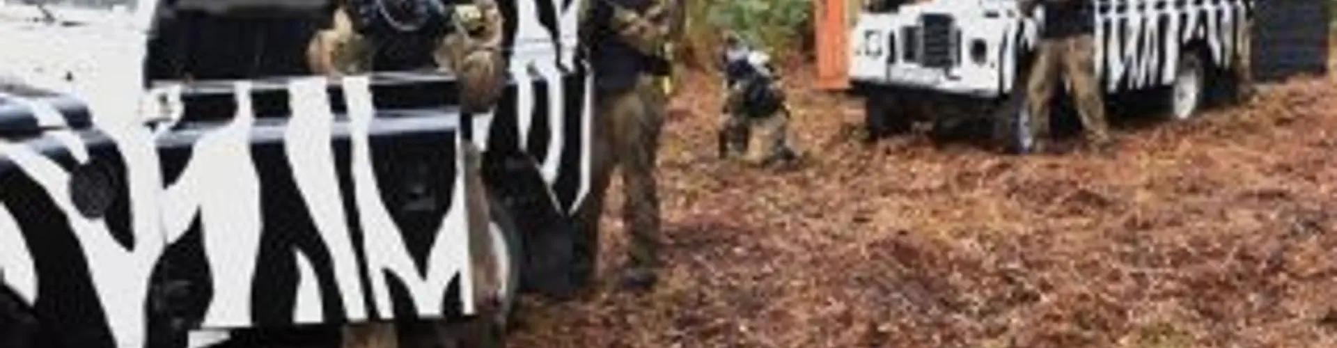 Hen Paintball Party