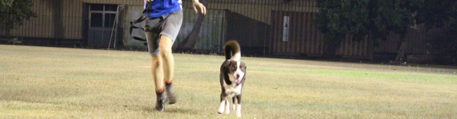 Agility Classes