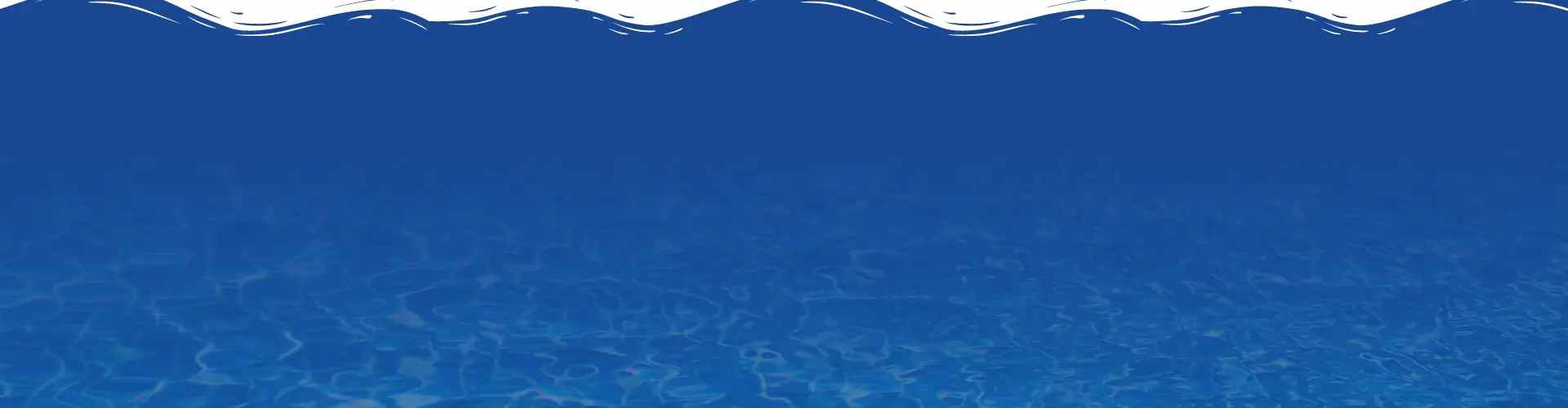 The Aqua Life Swim Academy
