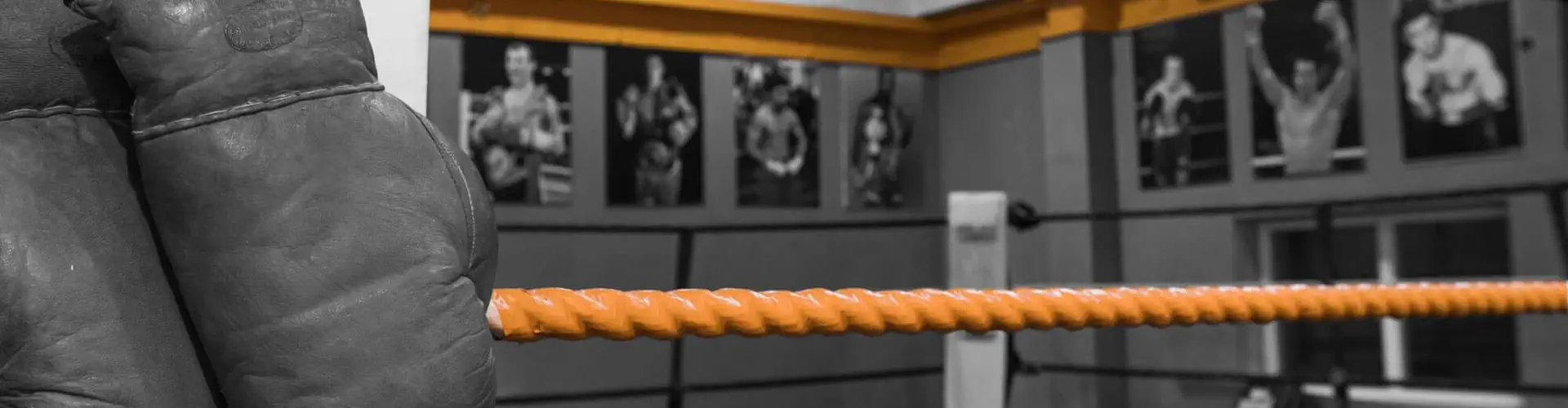 Andy McLeans Boxing Gym